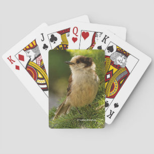 Profiel van een Cute Gray Jay Whiskeyjack Pokerkaarten