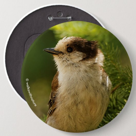Profiel van een Cute Gray Jay / Whiskeyjack Ronde Button 6,0 Cm (Voorkant /achterkant)