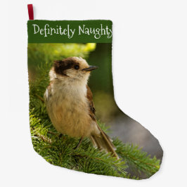 Profiel van een Cute Gray Jay / Whiskeyjack Songbi Grote Kerstsok