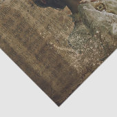 Profiel van een damesweefsel tissuepapier (Detail)