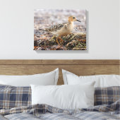 Profiel van een doorgeslagen Sandpiper in het stra Canvas Afdruk (Insitu (Slaapkamer))