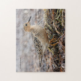 Profiel van een doorgeslagen Sandpiper in het stra Legpuzzel