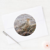 Profiel van een doorgeslagen Sandpiper in het stra Ronde Sticker (Envelop)