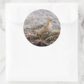Profiel van een doorgeslagen Sandpiper in het stra Ronde Sticker (Tas)