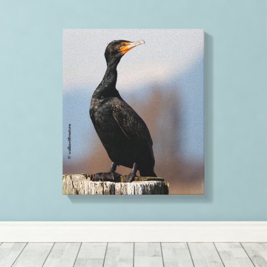 Profiel van een dubbel-Crested Cormorant Canvas Afdruk (Insitu (Houten vloer))