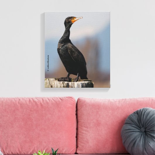 Profiel van een dubbel-Crested Cormorant Canvas Afdruk (Insitu (Woonkamer))