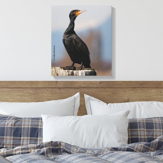 Profiel van een dubbel-Crested Cormorant Canvas Afdruk (Insitu (Slaapkamer))