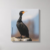 Profiel van een dubbel-Crested Cormorant Canvas Afdruk (Voorkant)