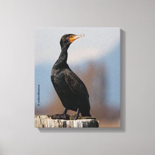 Profiel van een dubbel-Crested Cormorant Canvas Afdruk (Voorkant)