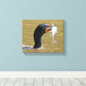 Profiel van een dubbel-Crested Corsicum voor volwa Canvas Afdruk (Insitu (Houten vloer))