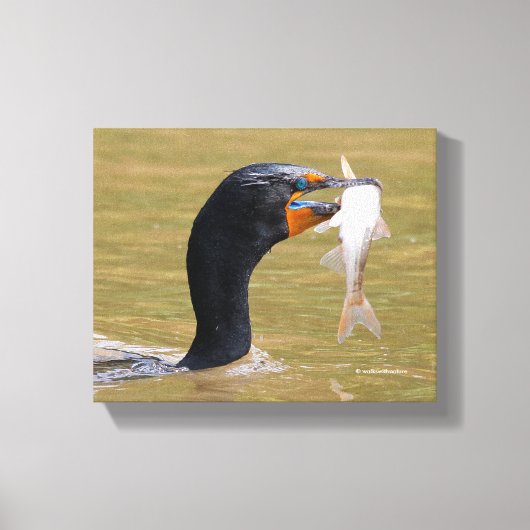 Profiel van een dubbel-Crested Corsicum voor volwa Canvas Afdruk (Voorkant)