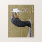 Profiel van een dubbel-Crested Corsicum voor volwa Legpuzzel (Verticaal)