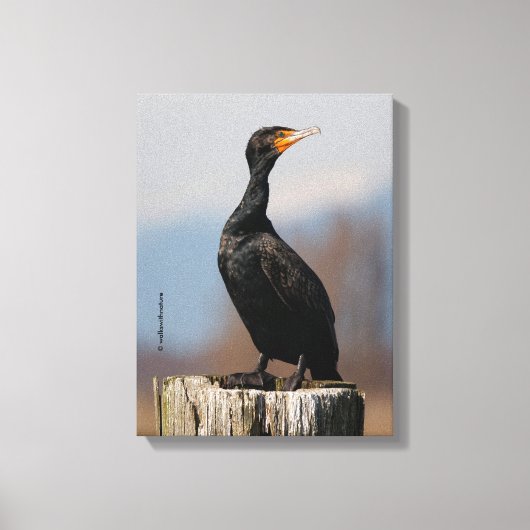 Profiel van een dubbelkuif-aalscholver canvas afdruk (Voorkant)