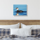 Profiel van een Gehoornde Grebe Canvas Afdruk (Insitu (Slaapkamer))