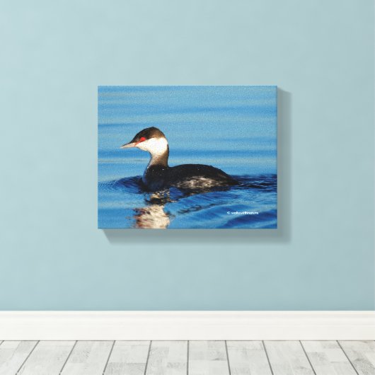 Profiel van een Gehoornde Grebe Canvas Afdruk (Insitu (Houten vloer))