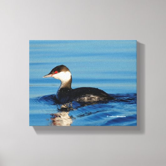 Profiel van een Gehoornde Grebe Canvas Afdruk (Voorkant)