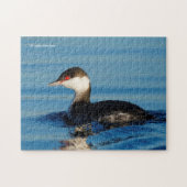 Profiel van een Gehoornde Grebe Legpuzzel (Horizontaal)