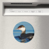 Profiel van een Gehoornde Grebe Magneet (Insitu (Vaatwasser))