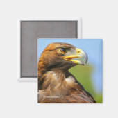 Profiel van een Golden Eagle in de Zomerzon Magneet (Voorkant / Achterkant)