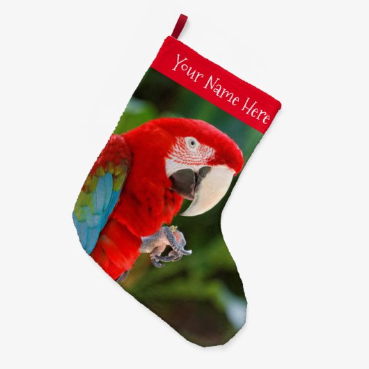 Profiel van een  groene Macaw Bird Grote Kerstsok (Voorkant (Hangend))