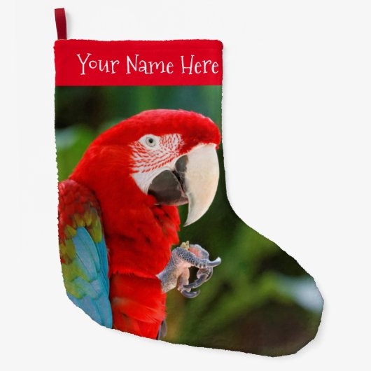 Profiel van een  groene Macaw Bird Grote Kerstsok (Voorkant)