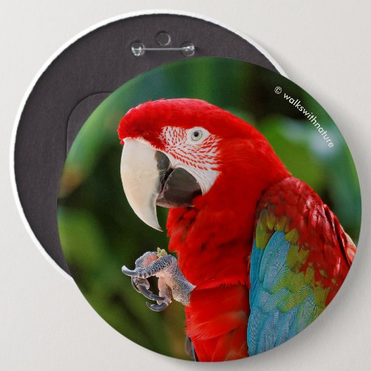 Profiel van een  groene Macaw Ronde Button 6,0 Cm (Voorkant /achterkant)