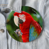 Profiel van een  groene Macaw Ronde Button 6,0 Cm (In situ)