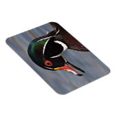 Profiel van een houten eend magneet (Rechterzijde)