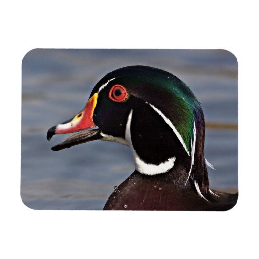 Profiel van een houten eend magneet (Horizontaal)
