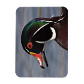 Profiel van een houten eend magneet (Verticaal)