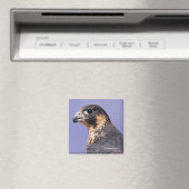 Profiel van een jeugdvalk magneet (Insitu (Vaatwasser))