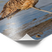 Profiel van een Lange-Bodemkromme Foto Afdruk (Hoek)