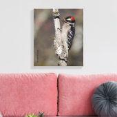 Profiel van een mannelijk neery Woodpecker Canvas Afdruk (Insitu (Woonkamer))