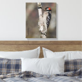 Profiel van een mannelijk neery Woodpecker Canvas Afdruk (Insitu (Slaapkamer))