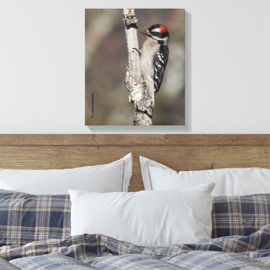 Profiel van een mannelijk neery Woodpecker Canvas Afdruk (Insitu (Slaapkamer))