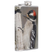 Profiel van een mannelijk neery Woodpecker Heupfles (Rechts)