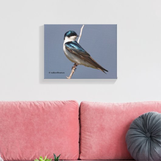 Profiel van een mannetjesboomzool in de zon canvas afdruk (Insitu (Woonkamer))