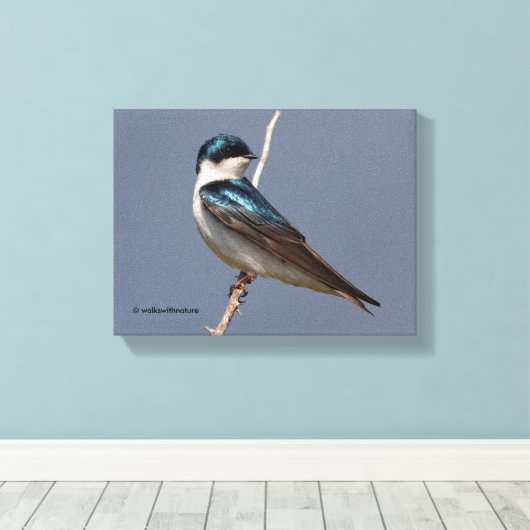 Profiel van een mannetjesboomzool in de zon canvas afdruk (Insitu (Houten vloer))