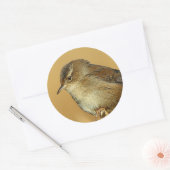 Profiel van een Marsh Wren Ronde Sticker (Envelop)