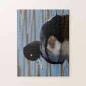 Profiel van een Minder Scaup Legpuzzel (Verticaal)