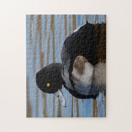 Profiel van een Minder Scaup Legpuzzel (Verticaal)