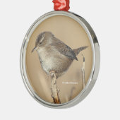 Profiel van een mooie Marsh Wren Metalen Ornament (Links)
