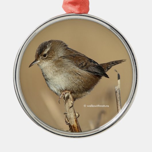 Profiel van een mooie Marsh Wren Metalen Ornament (Voorkant)