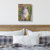 Profiel van een noordelijke Harrier Canvas Afdruk (Insitu (Slaapkamer))