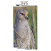 Profiel van een noordelijke Harrier Heupfles (Links)