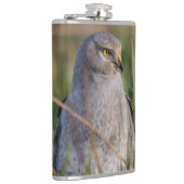 Profiel van een noordelijke Harrier Heupfles (Rechts)