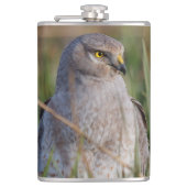 Profiel van een noordelijke Harrier Heupfles (Voorkant)