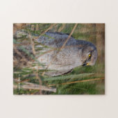 Profiel van een noordelijke Harrier Legpuzzel (Horizontaal)