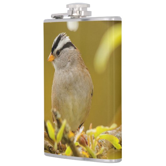 Profiel van een Pensive White-Crowned Sparrow Heupfles (Links)