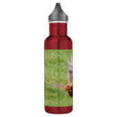 Profiel van een Ring-Necked Fheasant Waterfles (Links)